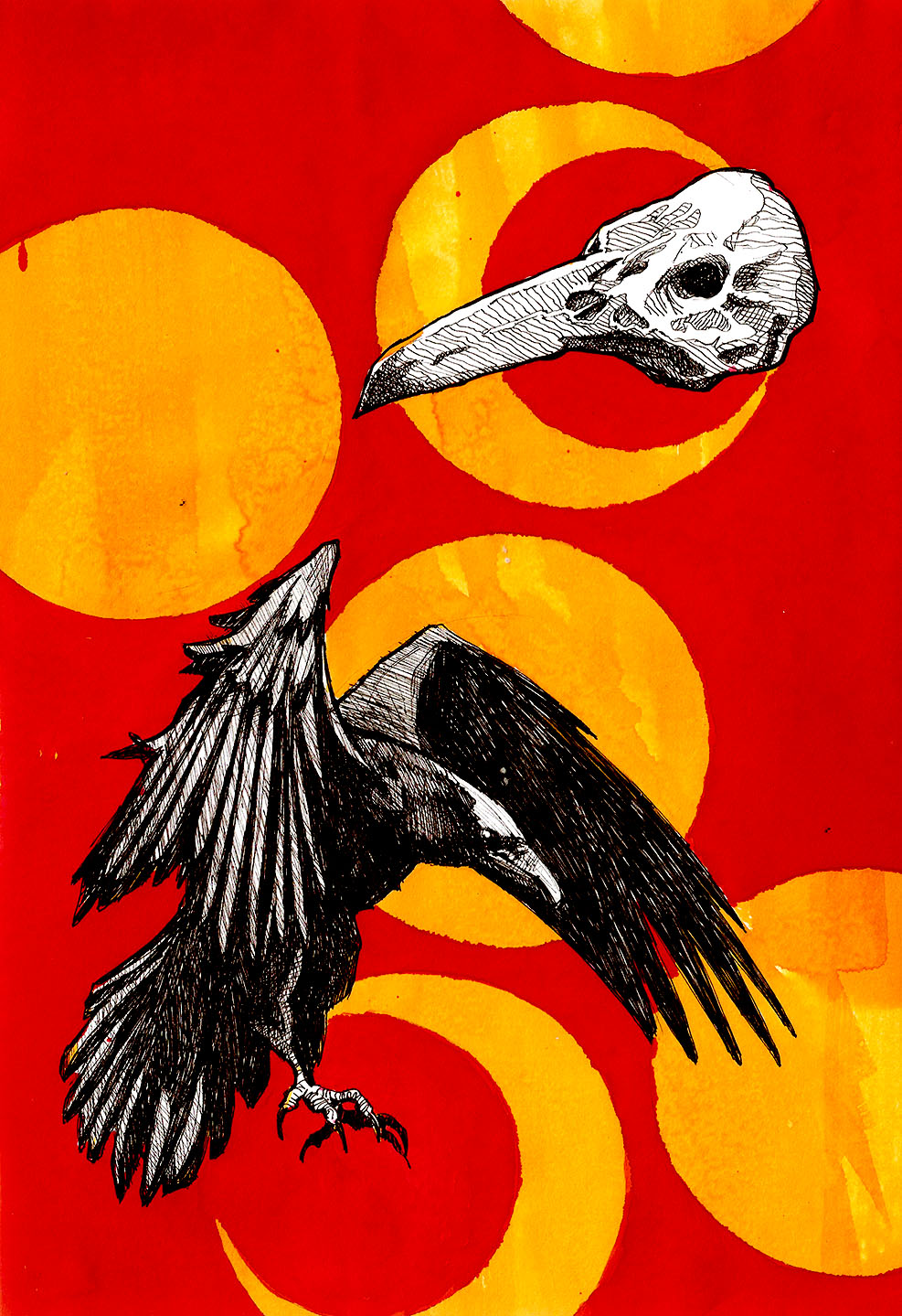 drawing of ravens